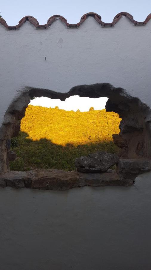 Gite Dans Ancienne Bergerie En Pleine Garrigue Fraissé-des-Corbières Esterno foto