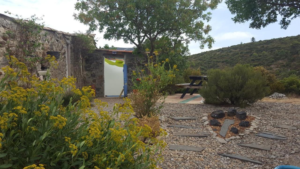 Gite Dans Ancienne Bergerie En Pleine Garrigue Fraissé-des-Corbières Esterno foto