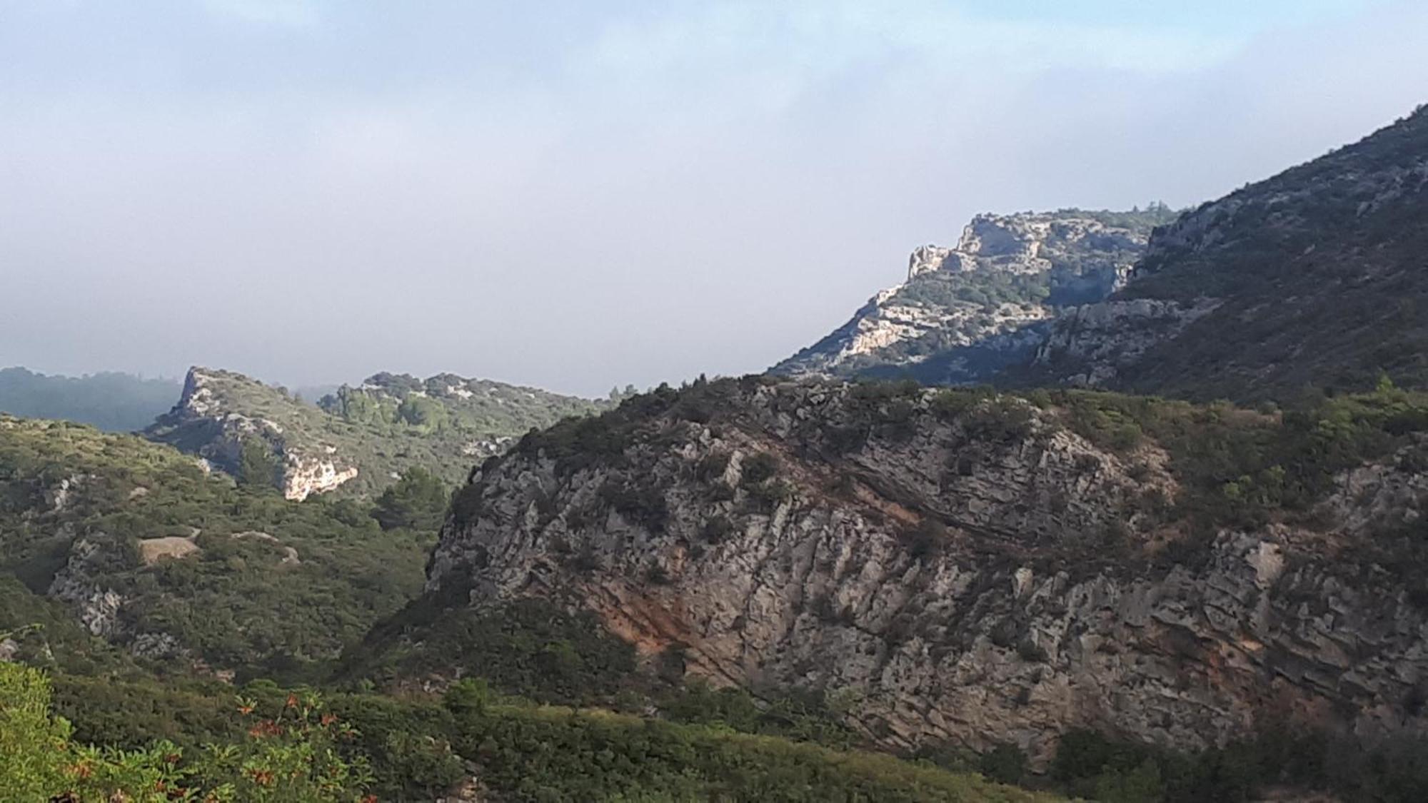 Gite Dans Ancienne Bergerie En Pleine Garrigue Fraissé-des-Corbières Esterno foto